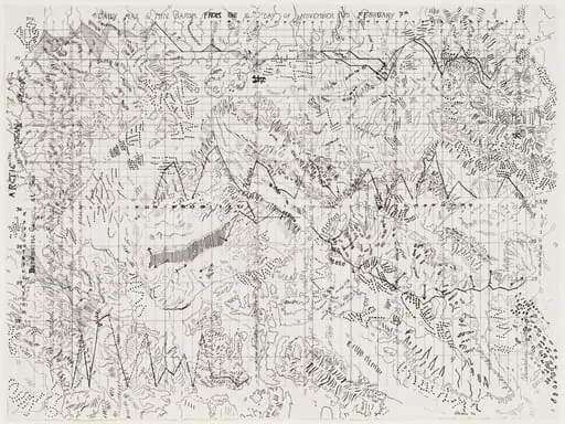 Untitled, by Nancy Graves