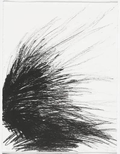 Untitled, by Naomi Boretz