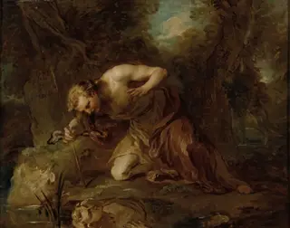 Narcissus
