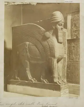 Neo-Assyrian colossal statue of a winged lion in white marble from the North-West palace of Ashurnasirpal II, Nimrud (ancient Kalhu), northern Iraq.  London: British Museum