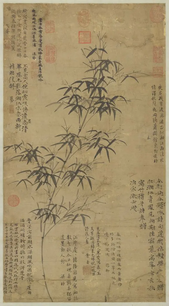 New Bamboo in the Spring Rain
