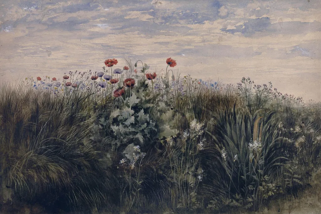 Summer wildflowers : Study from Nature, by Nicholl, watercolor, 1825