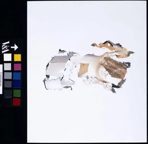 Aeroplane Dress (Hussein Chalayan), by Nick Knight