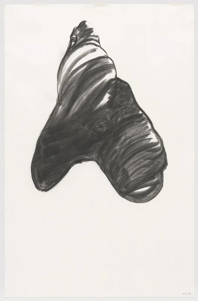Untitled, by Nicola Tyson, charcoal, 1997