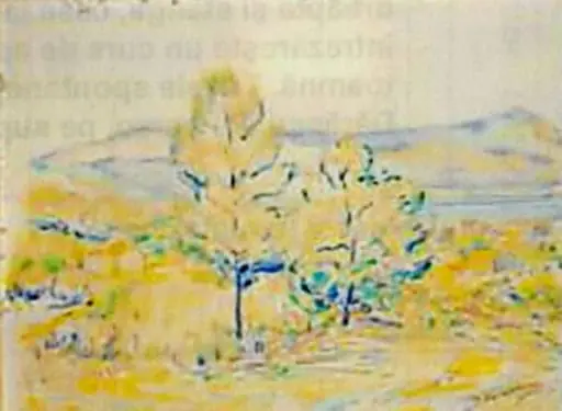 Peisaj panoramic, by Nicolae Dărăscu, 1908