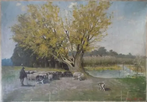 Băneasa
