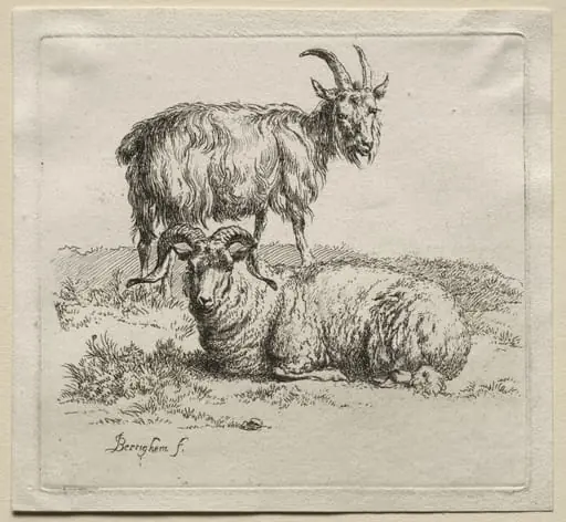 Animalia: Ram and Goat, by Nicolaes Pieterszoon Berchem