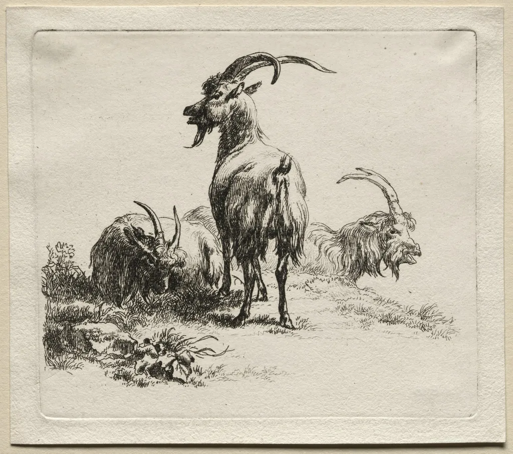 Animalia: Three Goats, by Nicolaes Pieterszoon Berchem, 1659