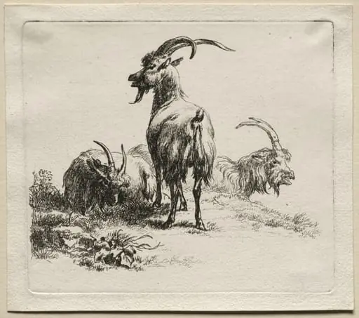 Animalia: Three Goats, by Nicolaes Pieterszoon Berchem
