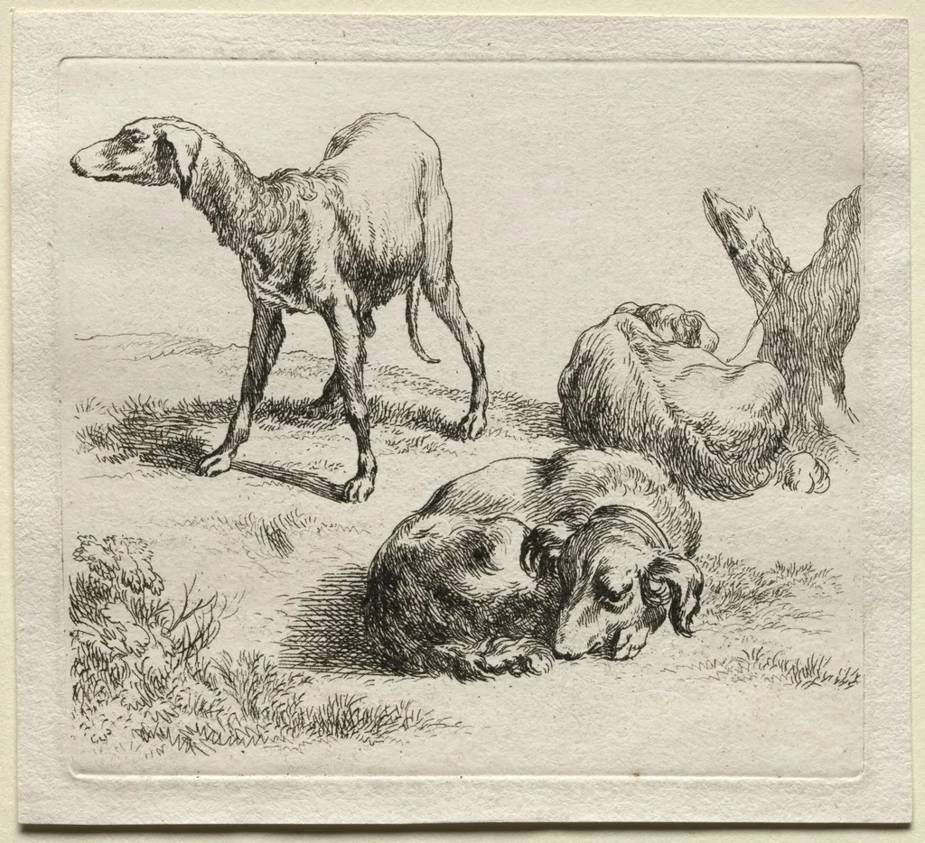 Animalia: Three Hunting Dogs, by Nicolaes Pieterszoon Berchem, 1659