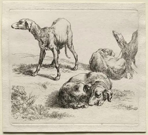 Animalia: Three Hunting Dogs, by Nicolaes Pieterszoon Berchem