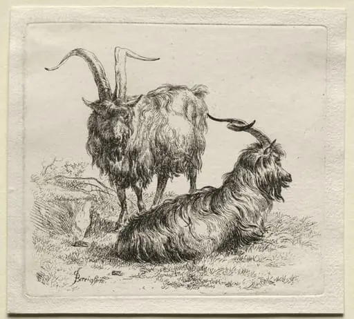 Animalia: Two Goats, by Nicolaes Pieterszoon Berchem