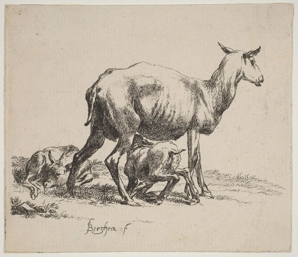 Ewe Nursing Her Lamb, by Nicolaes Pieterszoon Berchem, ink, 1640