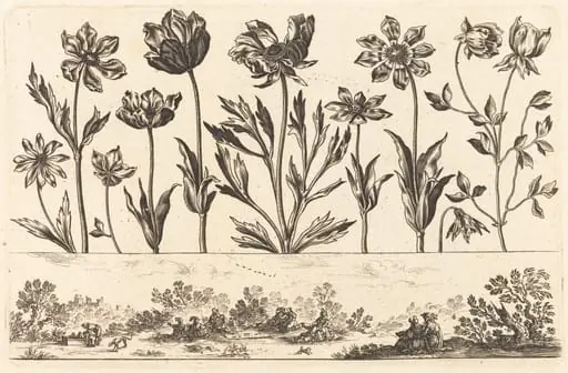 Flower Print no.1, by Nicolas Cochin