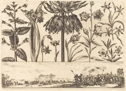 Flower Print no.10, by Nicolas Cochin