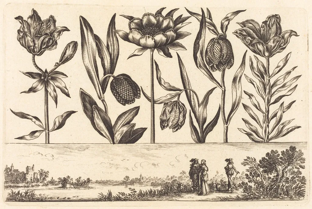 Flower Print no.11, by Nicolas Cochin, ink, 1645