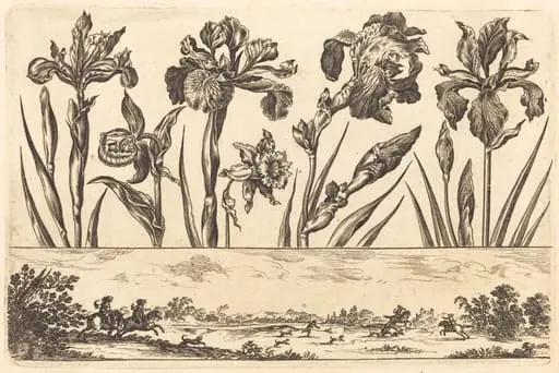 Flower Print no.3, by Nicolas Cochin