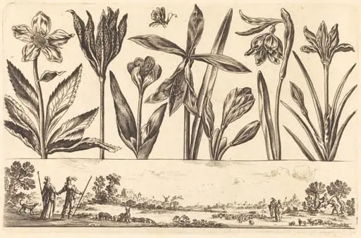 Flower Print no.4