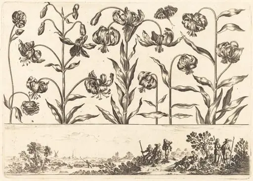 Flower Print no.5, by Nicolas Cochin