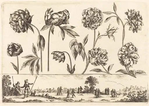 Flower Print no.7, by Nicolas Cochin
