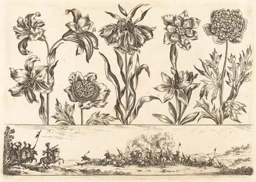 Flower Print no.8, by Nicolas Cochin