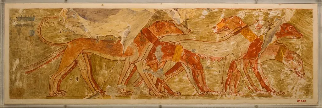 Hounds from Nubia, Tomb of Rekhmire, by Nina M. Davies