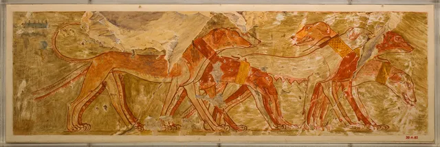 Hounds from Nubia, Tomb of Rekhmire