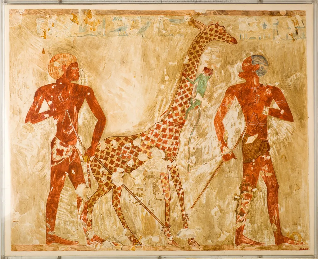 Nubians with a Giraffe and a Monkey, Tomb of Rekhmire, by Nina M. Davies, unspecified, 1504