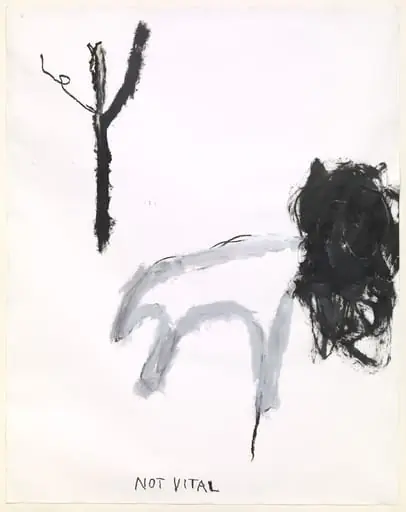Untitled, by Not Vital