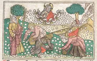 Nüremberg Bible:  Manna Falling from Heaven
