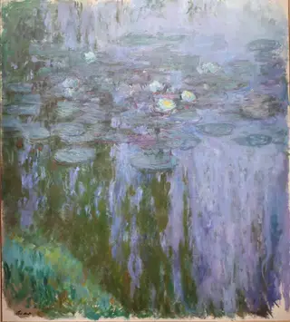 Nympheas