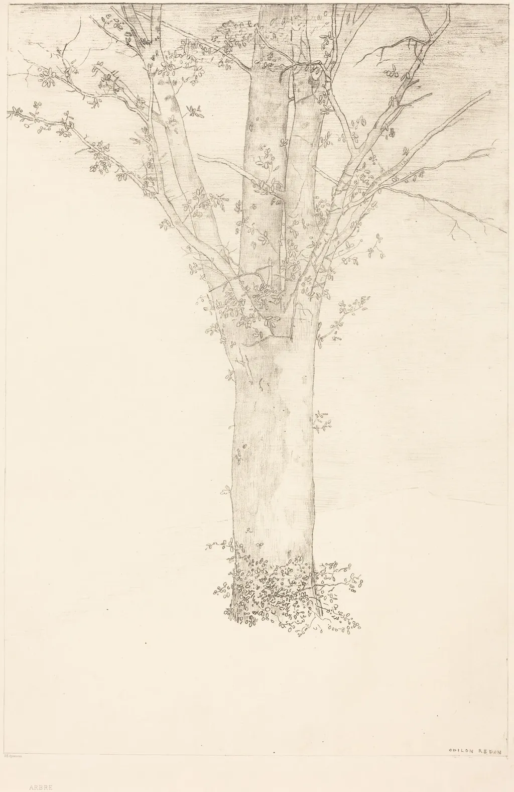 Arbre (Tree), by Odilon Redon, ink, 1892