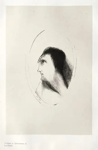 The Breadth and Flatness of the Frontal Bone, by Odilon Redon