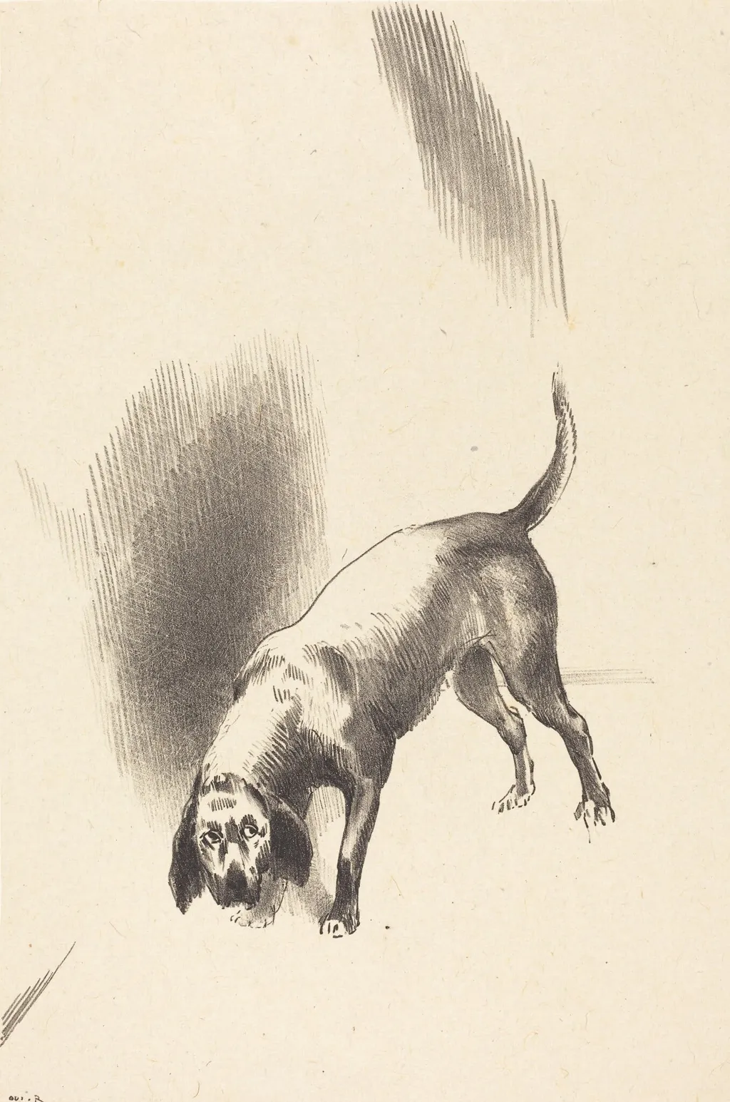 The Dog, by Odilon Redon, ink, 1896