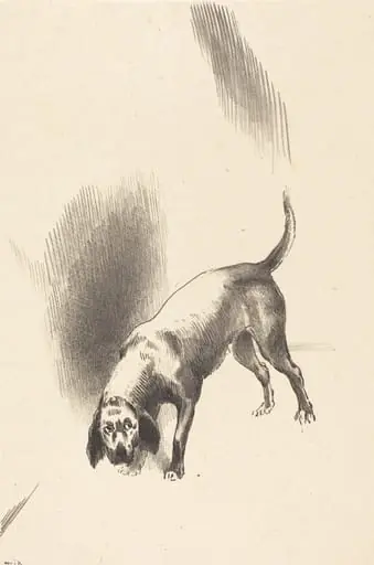 The Dog, by Odilon Redon