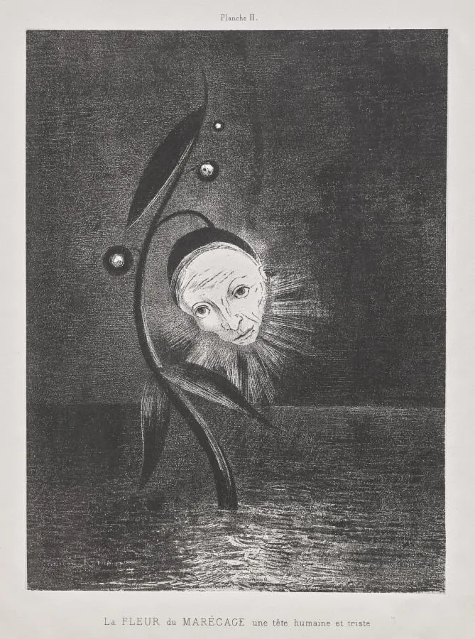 The Marsh Flower, a Sad Human Head, by Odilon Redon, 1885