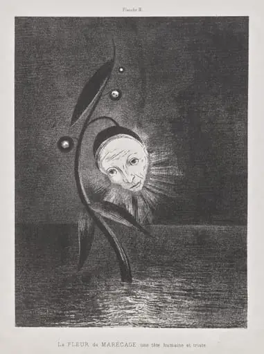 The Marsh Flower, a Sad Human Head, by Odilon Redon