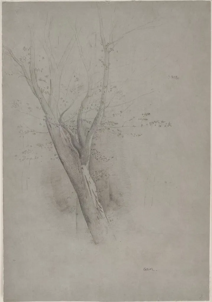 Untitled, by Odilon Redon, graphite, 1866