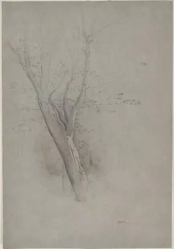 Untitled, by Odilon Redon
