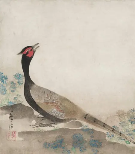 Pheasant, by Ogata Kōrin