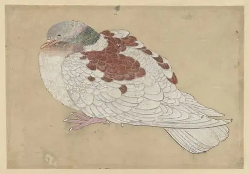 Untitled, by Ogawa Haritsu