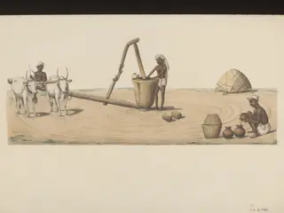 Oil monger pressing good oil