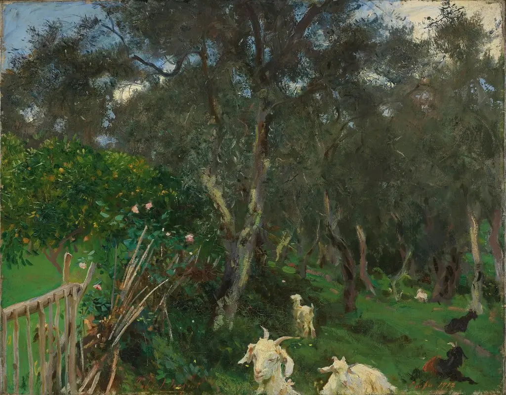 Olives in Corfu