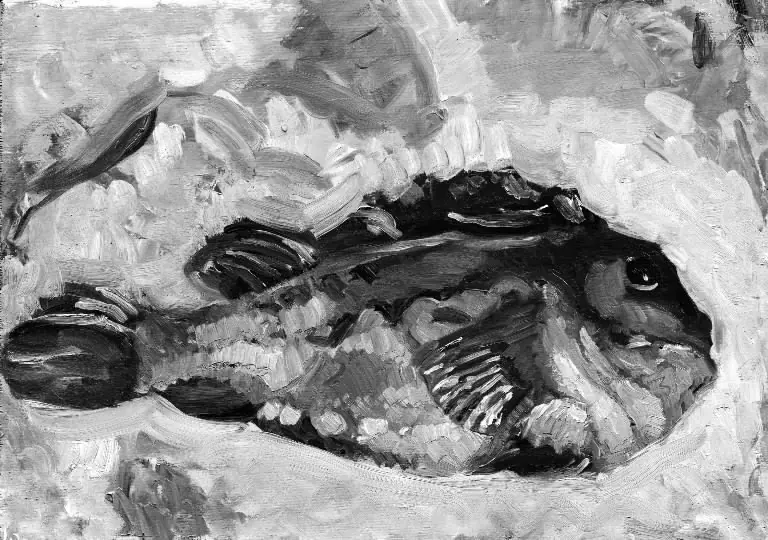 A Lumpfish, by Oluf Hartmann
