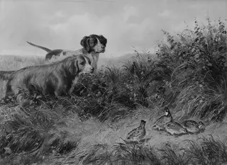 On Point, by Arthur Fitzwilliam Tait