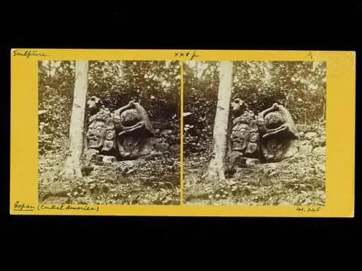 Head with other sculptured stones, by Osbert Salvin