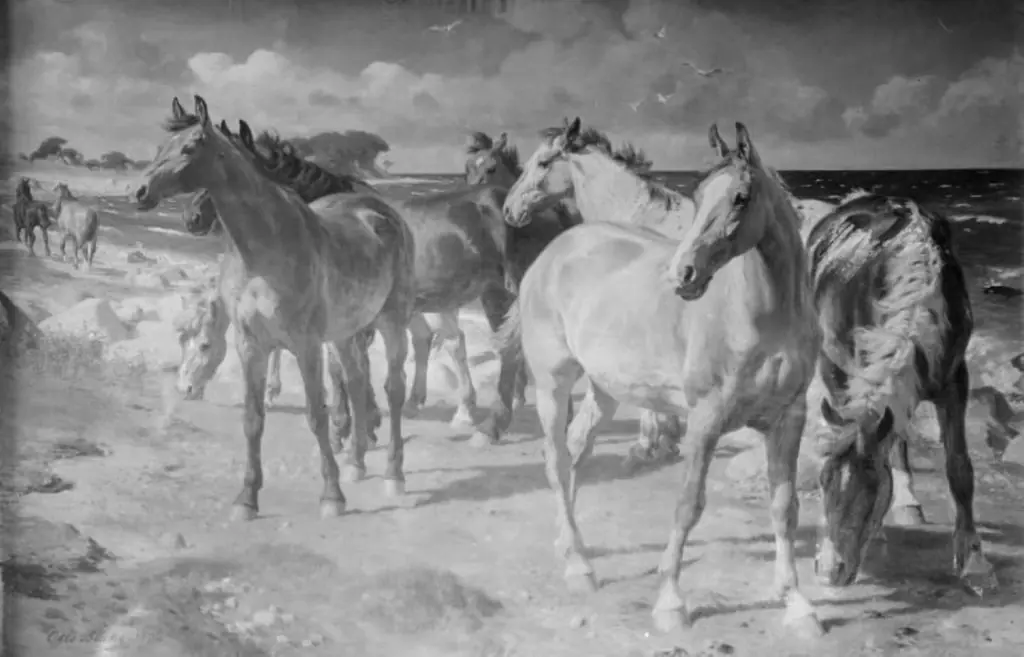 Heste ved stranden, by Otto Bache