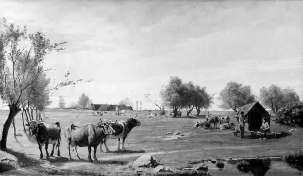 Cows in a Field, by Otto Carl Bentzon Haslund