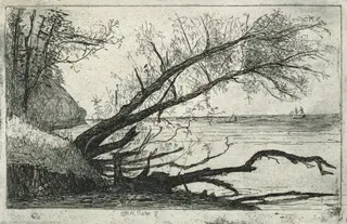 Lake Shore, Cleveland