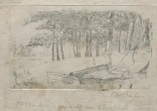 Sketch from Nature